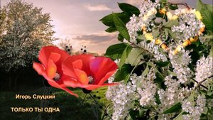 Сборник № 6. Современные хиты о любви