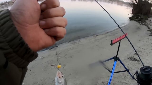 Фидерные Приключения Рыбалка на Реке смотреть онлайн