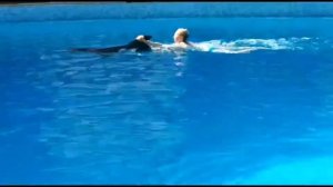 Танцы с дельфинами. Сентябрь 2020, дельфинарий Коктебель