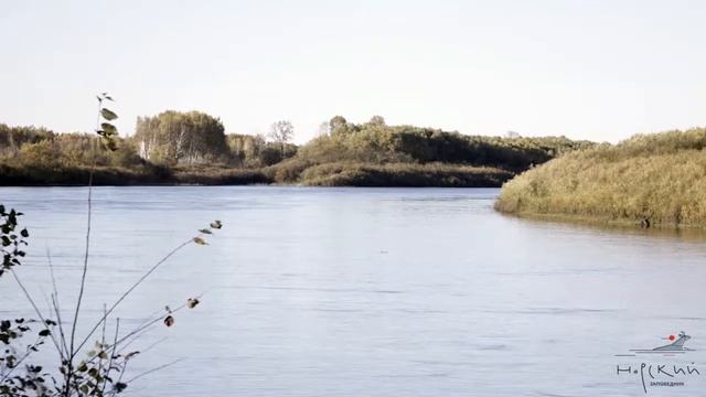 Федеральное государственное бюджетное учреждение "Государственный природный заповедник "Норский" смотреть онлайн