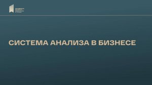 Система анализа в бизнесе