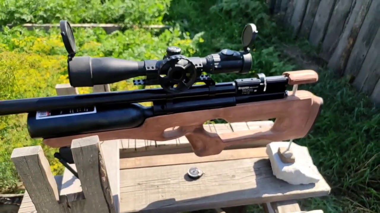 Отстрел перед продажей ПСП крысы (кросман 1377) и обращение к будущим покупателям. смотреть онлайн