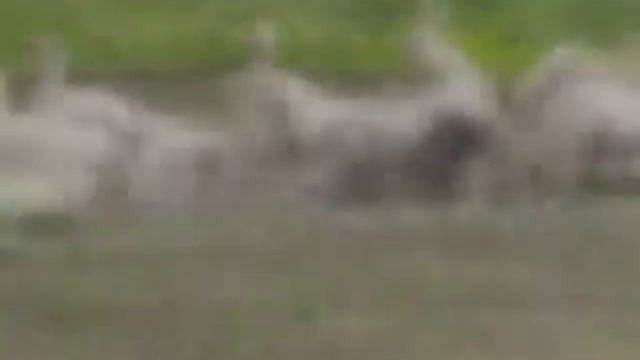 Наша деревня ПРИРОДА! смотреть онлайн