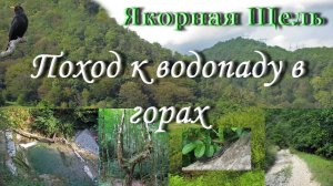 Горы, горный лес, тропа, река, водопад – Большой Сочи - Якорная Щель