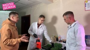 Ситиферма "Зеленка" - как микрозелень выращивают в Когалыме?