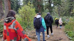 Поездка на Чемал. Каракольские озера.