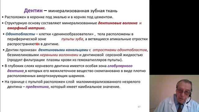 Гистология. Пищеварительная система