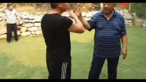 Тайцзицюань. Искусство захвата цинна тайцзи. // Wushu taiji qigong  Stile Hong tai chi application