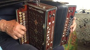 Дядя Ваня на гармони «Страдания»