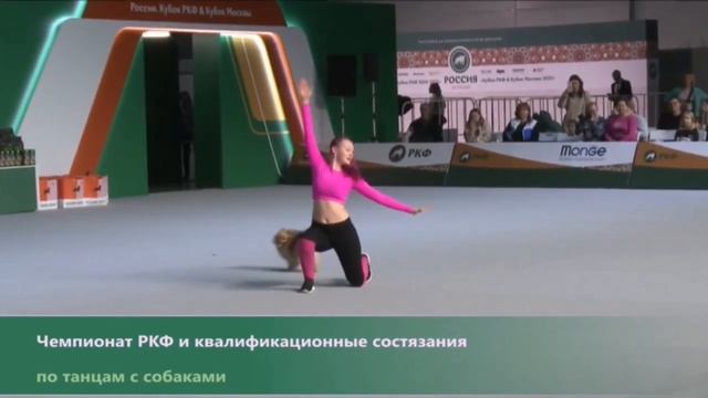 Танцы с собаками. Скопина Анастасия и немецкий шпиц Джесс. «Зарядка»