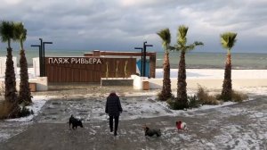 В Сочи снег. Снег на розах. 2021