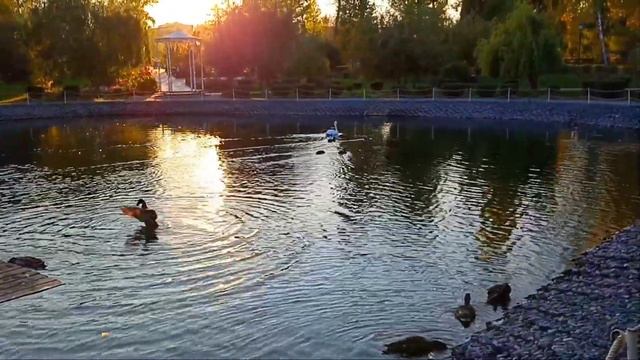 Приехала в Вольск и удивилась !!! смотреть онлайн