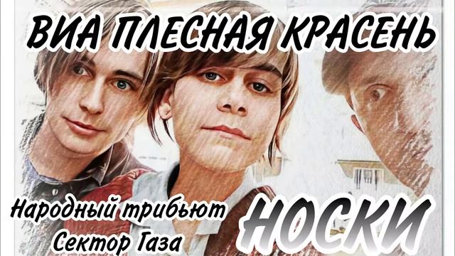 Сектор газа - Носки ВИА Плесная красень народный трибьют 2022 смотреть онлайн