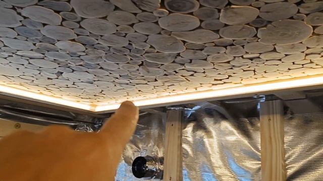 Пано из мозжевельника с подсветкой в бане на потолке.