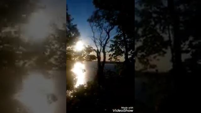 Свияга трип. Макарьевский лес. смотреть онлайн