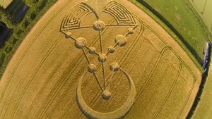 Загадочные круги на полях появились в России!