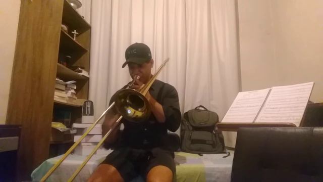 Alok - Alive (It Feels Like) [Trombone cover] смотреть онлайн