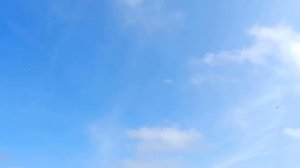 Жизнь в Англии. Прогулки по Ньюкаслу # 12. aleksandrtarassevski@gmail.com