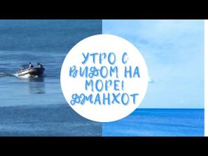 Утро с видом на море! Гостевой дом "Золотой песок ". Хутор Джанхот. Июнь 2022