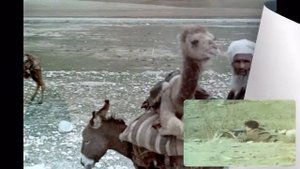 659 ОАБ в Афганистане 1980 год