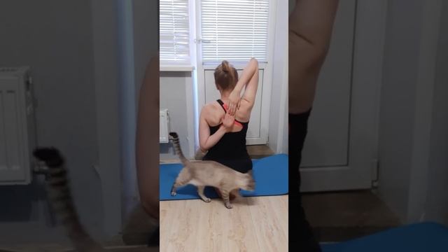 ?Зарядка с элементами йоги. День 22? смотреть онлайн