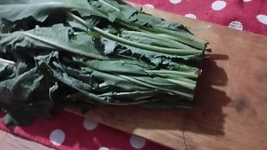 Как я заготавливаю листья одуванчика