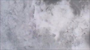 Рыбалка Петровка Донецк