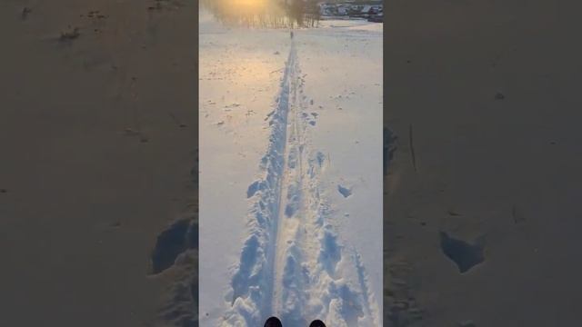 Лыжня на закате. Skiing at sunset