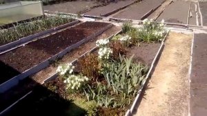 Каркас для грядки из ЦСП!!!