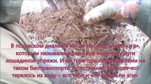 коп 24 04 (Копаю с XP gold maxx power)(ГМП)