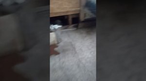 пивной КЕГ.Утилизация пивной кеги!не повторять!!!