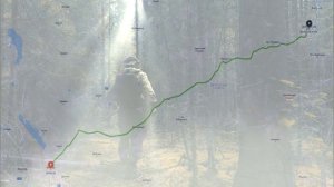 СТРАШНЫЕ ИСТОРИИ НА НОЧЬ_ _МАМА! НАСТУПИЛ КОНЕЦ СВЕТА__ ПЕРЕПИСКА в ТЕЛЕГРАМ.