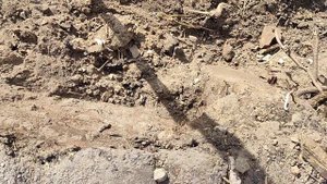 что от нас скрывают историки