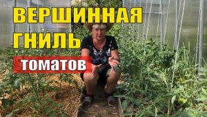 Пора! Пора! Профилактика от вершиной гнили. Не пропустите, не опоздайте.