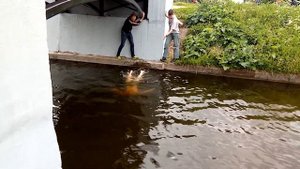 GEEK PICNIC - drone racing - Поиски утопленного дрона