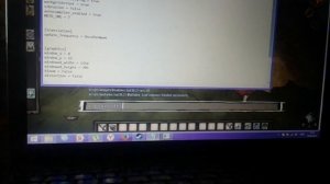 как ввести коды на dont starve