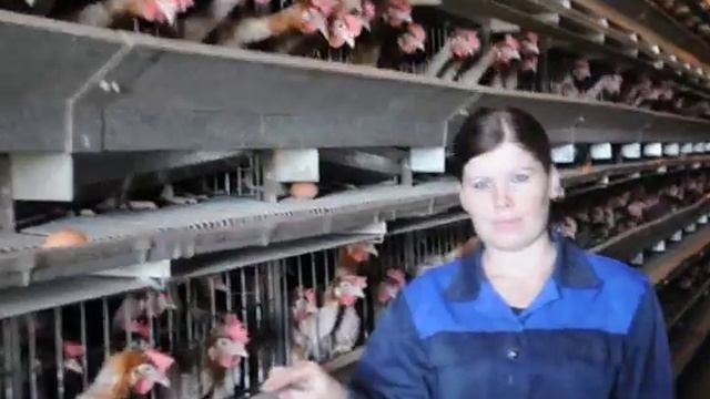 DSC 0419.mp4 смотреть онлайн