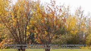 О Казанском дендрарии: Раифский заповедник, адрес, контакты, как добраться