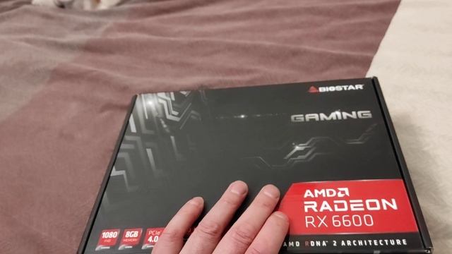 Распаковка — Видеокарта Biostar Radeon RX 6600