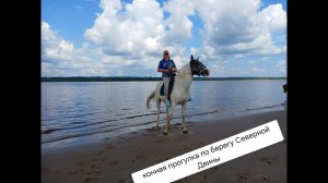 катание на лошадях по берегу Северной Двины конный клуб ЧАРОДЕЙ город Новодвинск