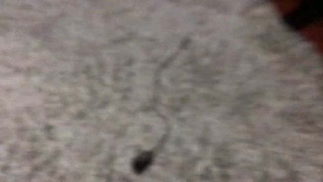 Тест пожарной сигнализации на приборе гранит 3 смотреть онлайн