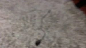 Тест пожарной сигнализации на приборе гранит 3