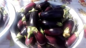 Баклажаны на зиму , обжарила кубиками и на заморозку в морозильник