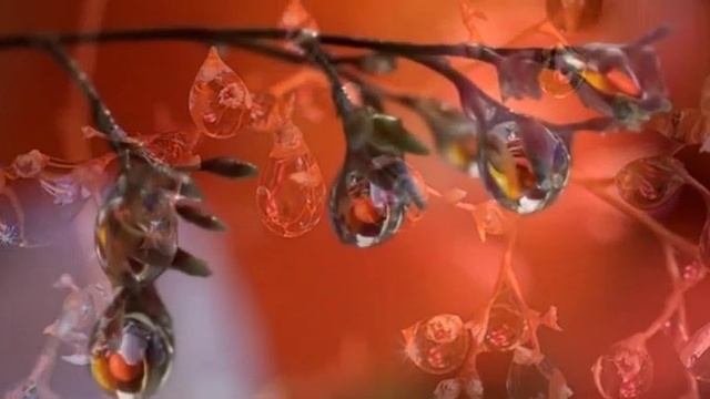 Мама мамочка ангел небес Стихи Ольга Мельничук, муз и исп Самуил Фрумович смотреть онлайн