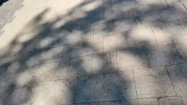 ТАНЦЫ МИНУС. ХИРУРГИЯ НА САВЕЛОВСКОЙ. ОЛЬГА(ДАМА СЕРЕГИ ХОХЛА). БЕЗБАШЕННАЯ МАНЬКА. смотреть онлайн