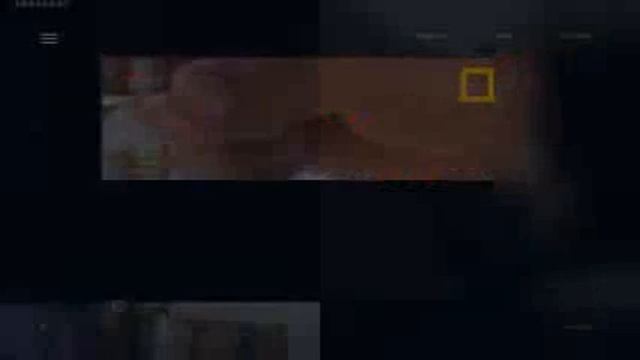 ПРЕДСТАРТ ДОСКИ ОБЪЯВЛЕНИЯ MYSITE24.LIVE