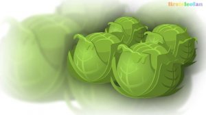 Капуста - полезные свойства. Капустный сок при заболеваниях  ЖКТ