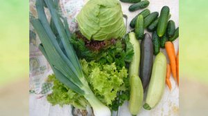 Как я храню озимый чеснок в прикопе .