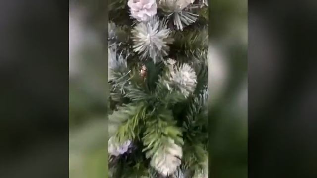 Русь Ёлка "ЕЛЬ РОЖДЕСТВЕНСКАЯ 2 (БЕЛЫЕ КОНЧИКИ, ШИШКИ)" 1.8м смотреть онлайн