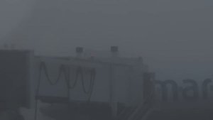 трехдневный ВЛОГ из дома родителей ??конные соревнования ?